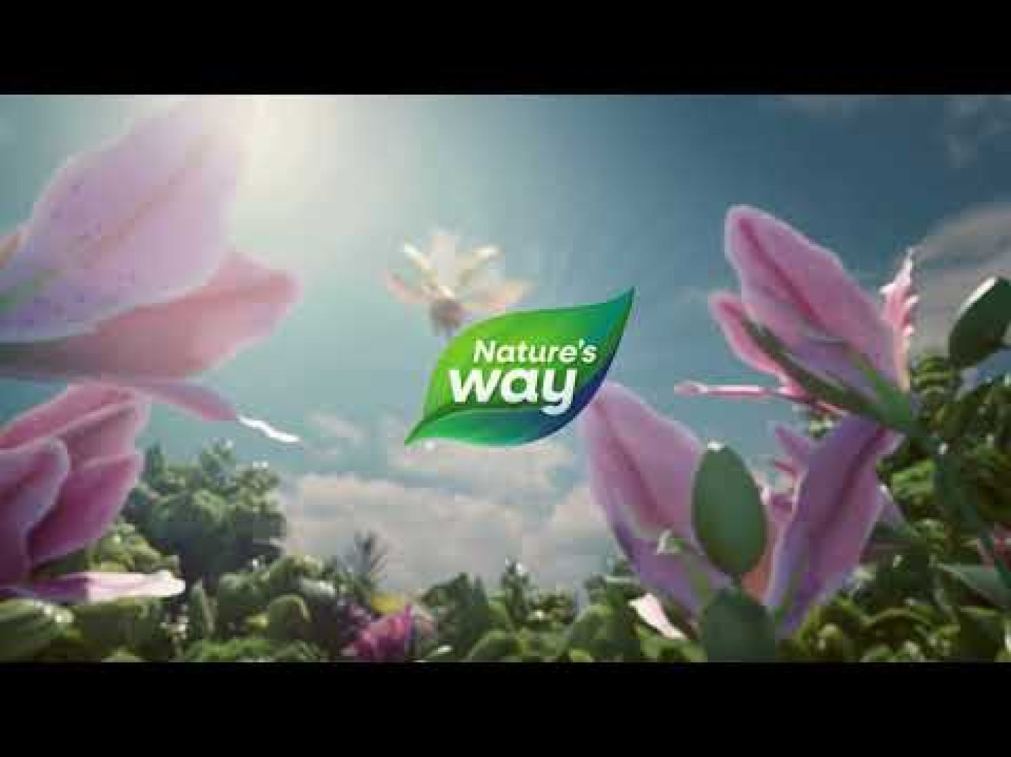 Nature's Way, Sambucus, стандартизированный экстракт бузины для детей, 60 жевательных конфет