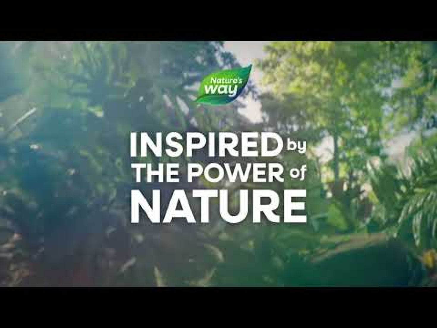 Nature's Way, Alive!®, жевательные мультивитамины для детей от 2 лет, со вкусом апельсина и ягод, 120 жевательных таблеток