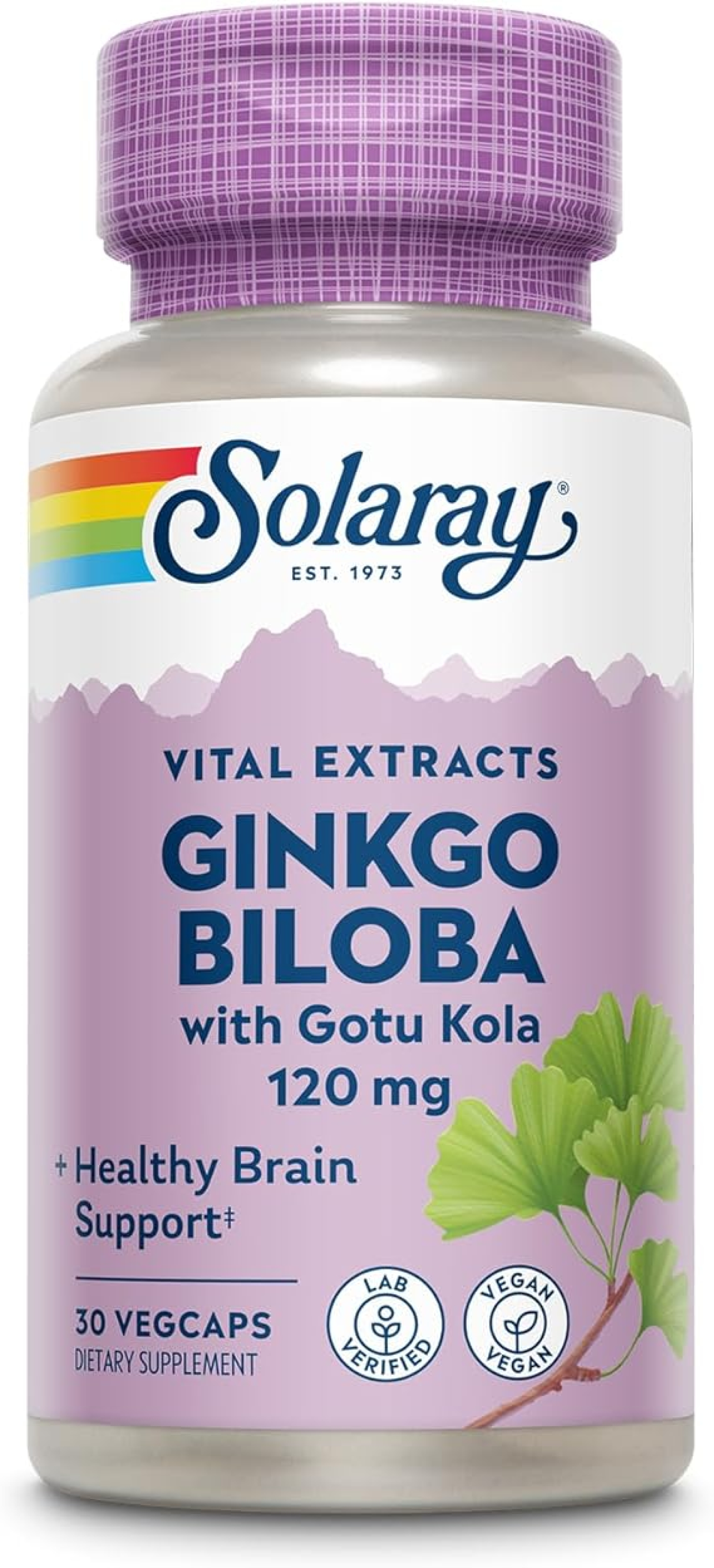 Solaray Ginkgo Biloba Extract, One SOR-10001